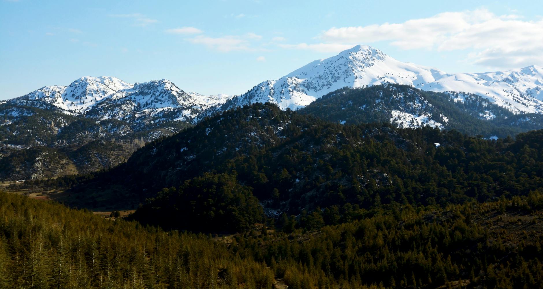 Bolu Dağı manzara orman