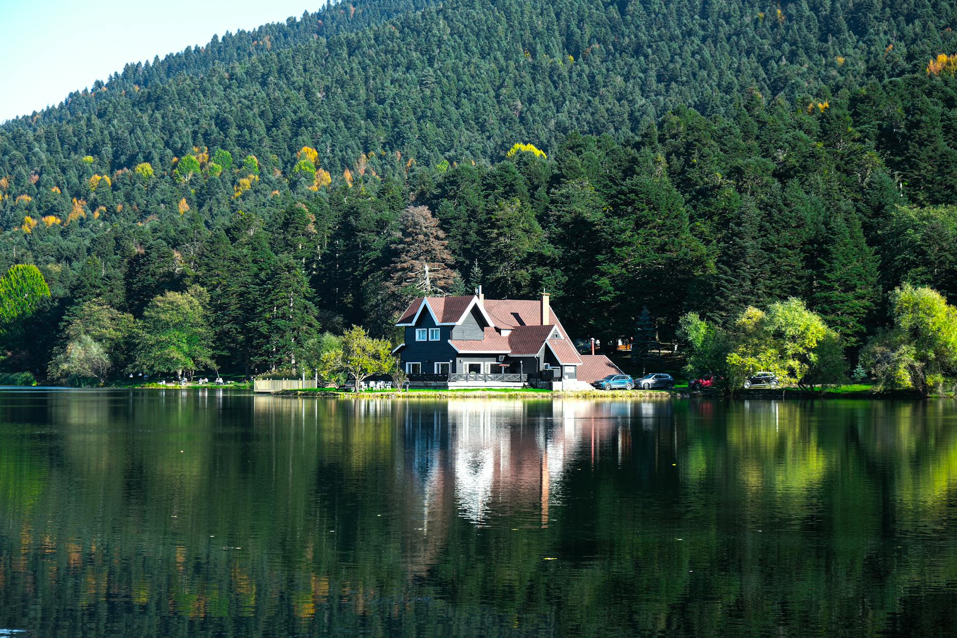 Bolu Dağı orman manzara